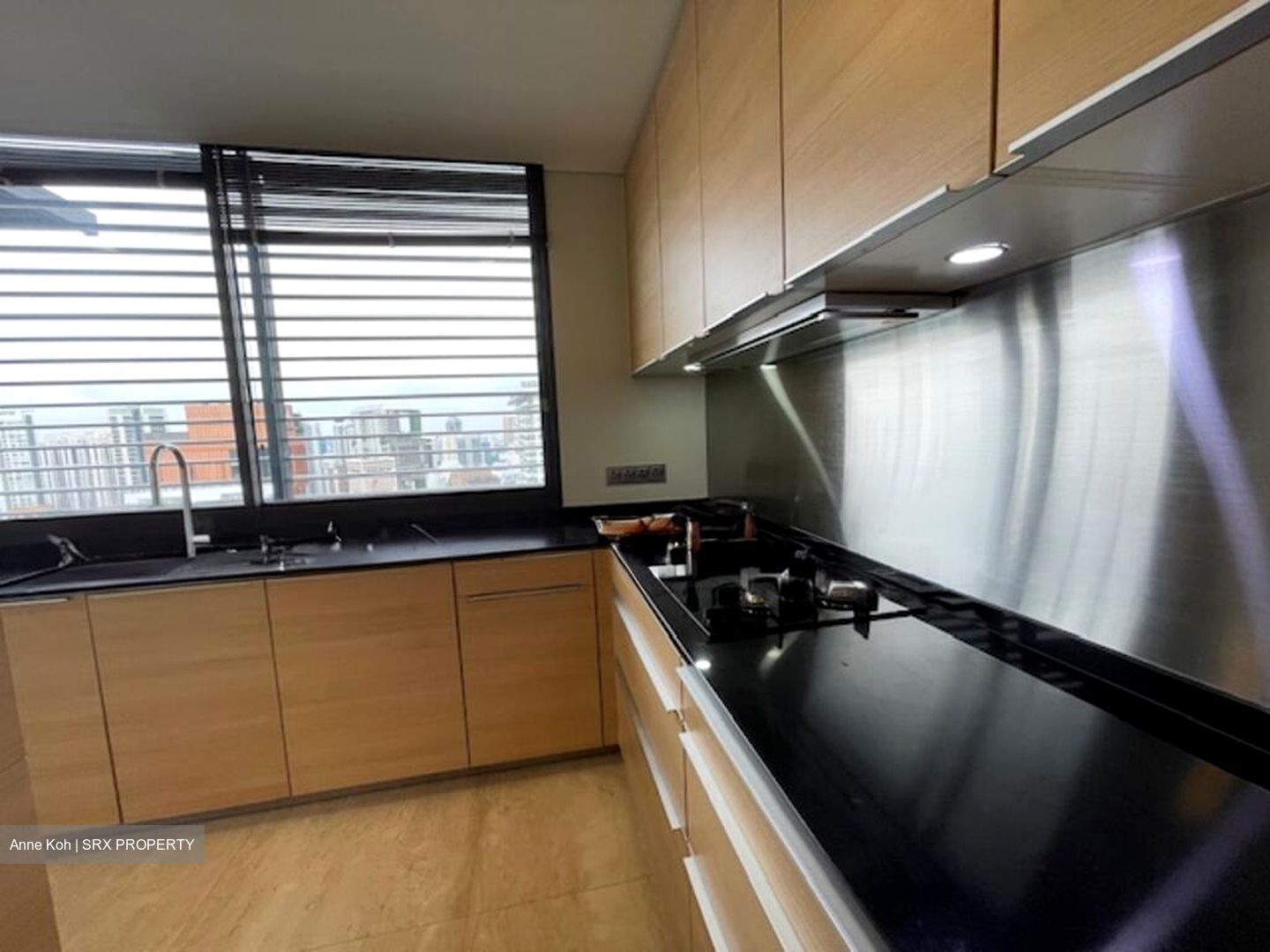 Hana (D10), Condominium #511046271